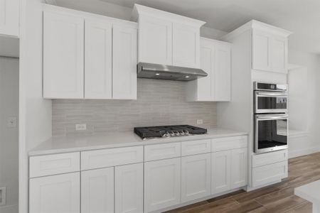 New construction Single-Family house 19128 Kleingrass Ln, Pflugerville, TX 78660 Concord 2575 S 3cg- photo 13 13