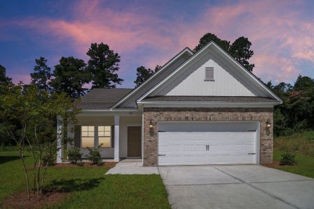 New construction Single-Family house 2735 Fearless Ln, Sumter, SC 29153 plan Buck Island II - image