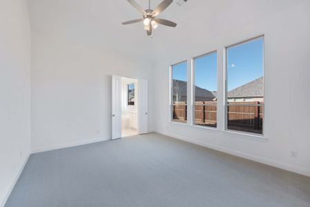 New construction Single-Family house 2036 Grey Birch Pl, Aledo, TX 76008 plan 217 - image 18
