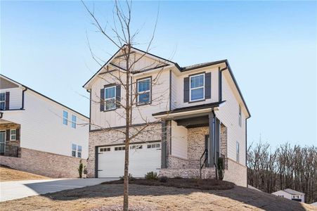 New construction Single-Family house 5050 Paravicini Pl, Cumming, GA 30041 plan Dallas Basement - image