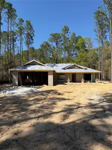 New construction Single-Family house 1683 W Pearson St, Hernando, FL 34442 - image