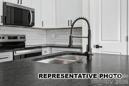 New construction Single-Family house 106 Outback Ln, Dallas, NC 28034 - image 5