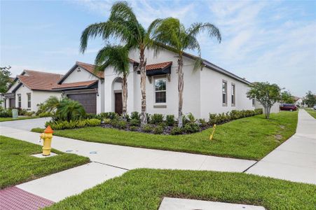 New construction Single-Family house 17509 Holly Well Ave, Wimauma, FL 33598 plan Halos II - image