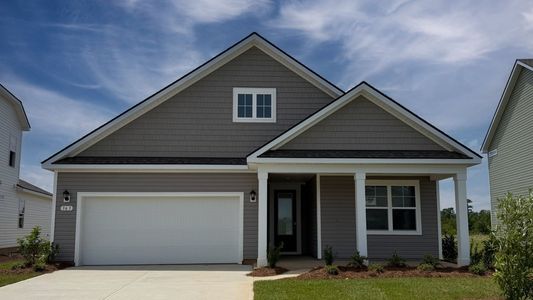 New construction Single-Family house 363 Hadley Springs Ave, Longs, SC 29568 plan Litchfield - image