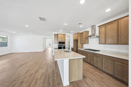 New construction Single-Family house 17296 W Saguaro Vista Dr, Surprise, AZ 85387 plan Cobalt - image