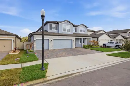 New construction Single-Family house 7771 Notched Pine Bnd, Wesley Chapel, FL 33545 plan Sonoma II - image