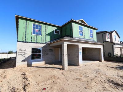 New construction Single-Family house 12252 Hilltop Farms Dr, Dade City, FL 33525 Cabo- photo 46 46