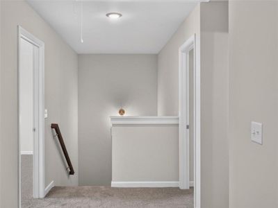 New construction Single-Family house 343 Shoals Trl, Dallas, GA 30132 plan Alexander - image 15