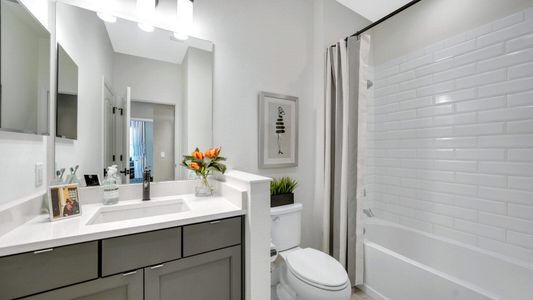 New construction Multi-Family house 10025 Hammock Brook Dr, Parrish, FL 34219 plan Tidewater 2B - image 18