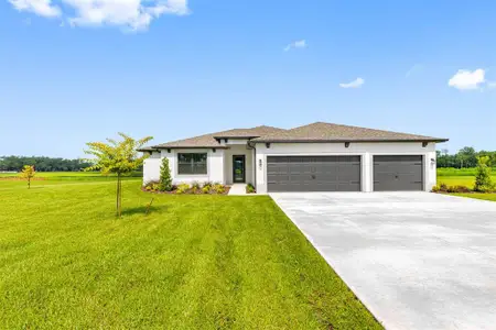New construction Single-Family house 13483 Lake Gallagher Dr, Dover, FL 33527 - image