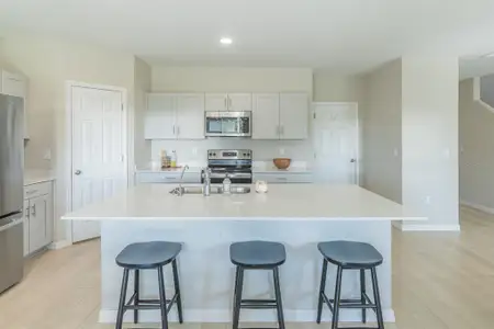 New construction Single-Family house 34284 Verbena St, Wesley Chapel, FL 33545 - image 6