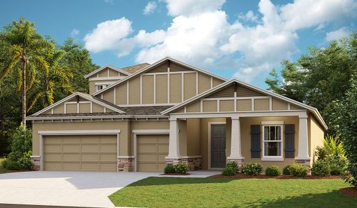 New construction Single-Family house 5379 Wolf Creek Dr, Apollo Beach, FL 33572 null- photo 1 1