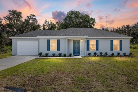 New construction Single-Family house 230 Oak Cir, Ocala, FL 34472 - image