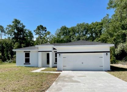 New construction Single-Family house 8914 Sw 133Rd Lane, Ocala, FL 34473 - photo 0