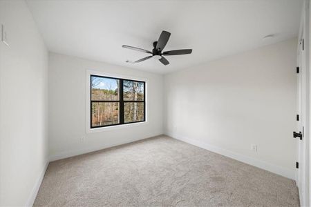 New construction Single-Family house 3040 Cypress Cv, Ball Ground, GA 30107 - image 17