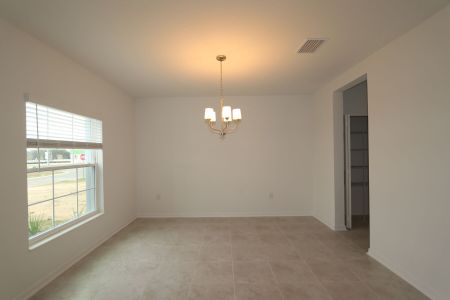 New construction Single-Family house 38350 Tobiano Loop, Dade City, FL 33525 Cabo- photo 132 132