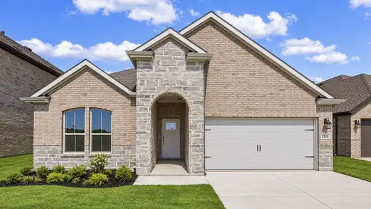 New construction Single-Family house 4816 Silver Vein Ave, Aubrey, TX 76227 plan Ivery II - image