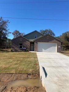 New construction Single-Family house 411 Hamilton Rd, Mineral Wells, TX 76067 - image