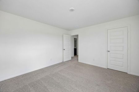 New construction Single-Family house 25186 Pomegranate Pl, Montgomery, TX 77316 - image 17
