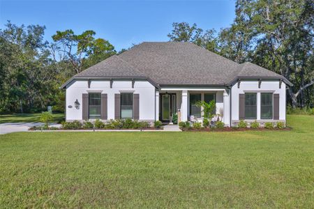 New construction Single-Family house 13148 Oldenburg Dr, Hudson, FL 34667 - image