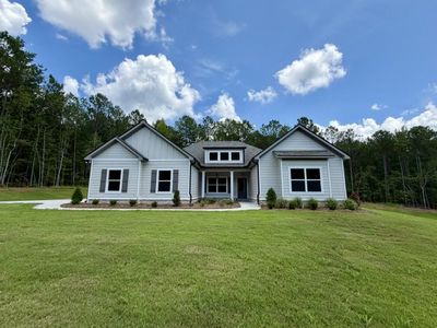 New construction Single-Family house Palmetto, GA 30268 plan Blanton - image