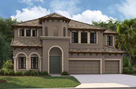 New construction Single-Family house Valrico, FL 33596 null- photo 0