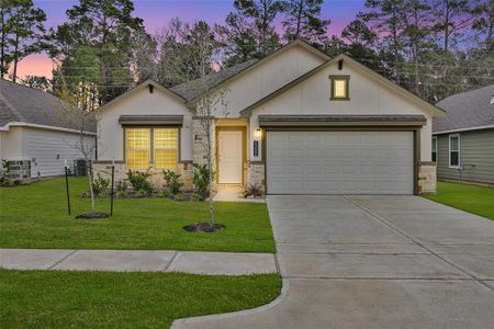 New construction Single-Family house 25066 Lindsey Ln, Magnolia, TX 77354 Elise- photo 0