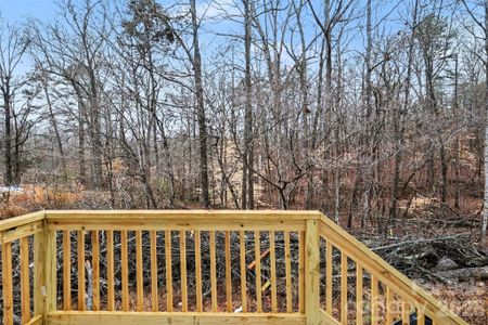 New construction Single-Family house 5200 Morning Dove Ct, Gastonia, NC 28052 - image