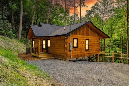 New construction Single-Family house 122 Laurel Creek Trl, Blue Ridge, GA 30513 - image