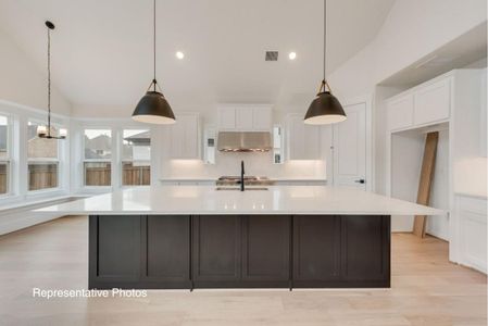 New construction Single-Family house 2204 Lantana Rd, Anna, TX 75409 plan Downton Abbey - image 7