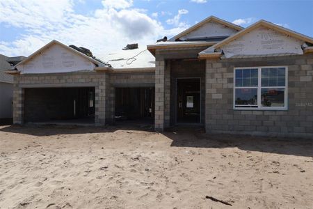 New construction Single-Family house 2600 Ravencliffe Ter, Oviedo, FL 32765 plan Corina II - image
