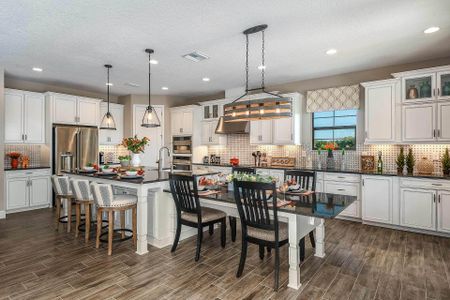 Hawkstone  by Homes by WestBay in Lithia - photo 21 21