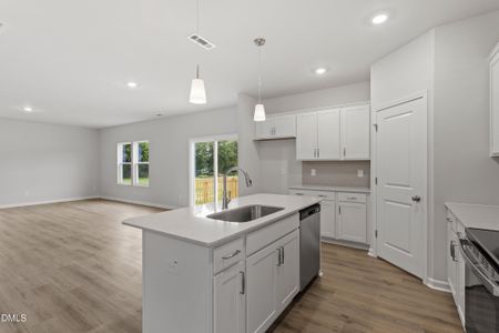 New construction Single-Family house 132 Sagamore Ave, Angier, NC 27501 plan Telfair - image 10