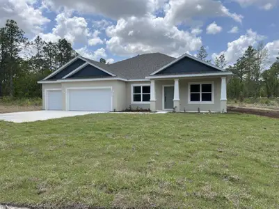 New construction Single-Family house 12416 Sw 67Th Ln, Ocala, FL 34481 - image