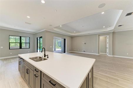 New construction Single-Family house 8046 Anthirium Lp, Sarasota, FL 34240 null- photo 17 17