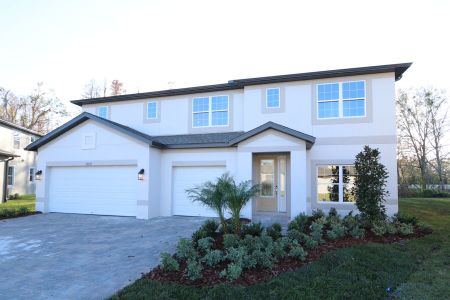 New construction Single-Family house 20125 Oriana Loop, Land O' Lakes, FL 34638 Santina II- photo 136 136