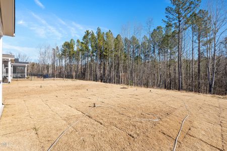 New construction Single-Family house 177 Beacon Dr, Pittsboro, NC 27312 Lucky- photo 25 25