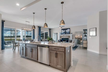 The Reserve at Victoria by Paytas Homes in Deland - photo 46 46