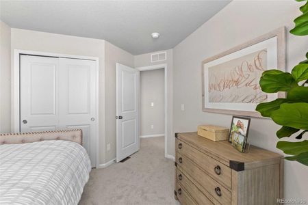 New construction Single-Family house 22333 E 46Th Ave, Aurora, CO 80019 - image 14