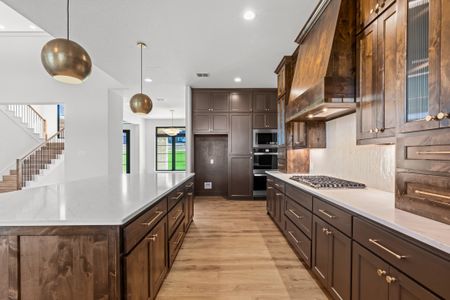 New construction Single-Family house 2104 Eagles Ridge Dr, Hudson Oaks, TX 76087 - image 12