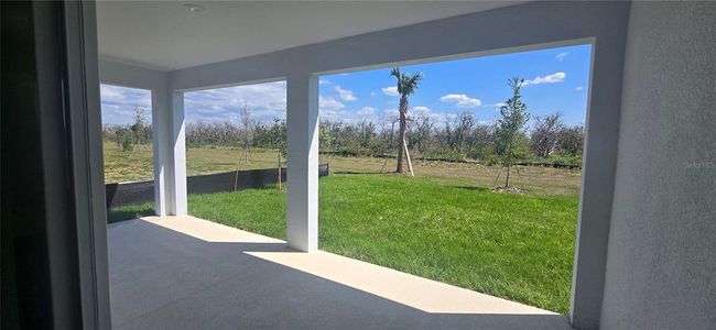 New construction Single-Family house 14599 Crestavista Ave, Clermont, FL 34714 plan Hayden - image 9