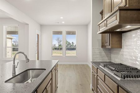 New construction Single-Family house 532 Birthright Ln, McLendon-Chisholm, TX 75032 plan Brady - image 10