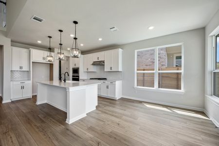 New construction Single-Family house Pflugerville, TX 78660 plan Thornton - image 8