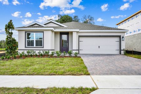 New construction Single-Family house Davenport, FL 33837 plan Daffodil IV - image