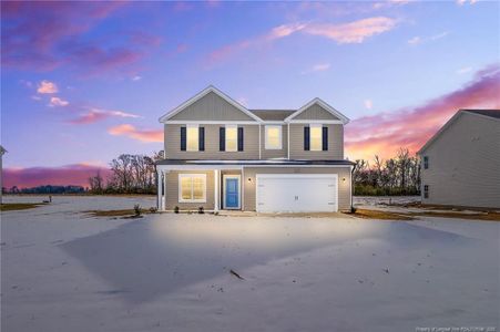 New construction Single-Family house 270 Arabia Rd, Raeford, NC 28376 - image