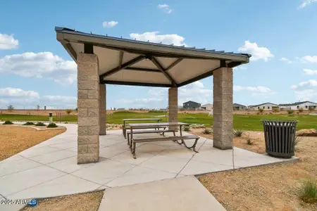 New construction Single-Family house 47050 W Pecan Woods, Maricopa, AZ 85139 - image