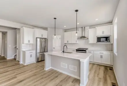 New construction Single-Family house 13780 Daffodil Wy, Parker, CO 80108 plan Rainier - image 5