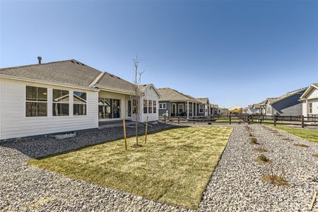 New construction Single-Family house 9005 S Shawnee Ct, Aurora, CO 80016 C551- photo 33 33