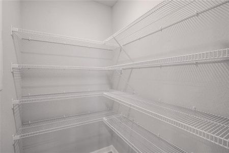 New construction Single-Family house 6042 Ballast Dr, Wimauma, FL 33598 plan Raychel - image 10