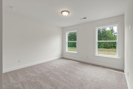 New construction Single-Family house 222 Palfrey Dr, Ridgeville, SC 29472 plan Wilmington - image 19